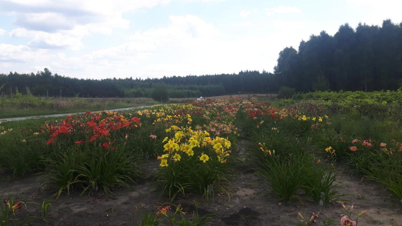 Winnica Debogora Dobiegniew Exteriér fotografie