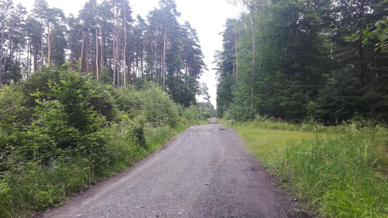 Winnica Debogora Dobiegniew Exteriér fotografie