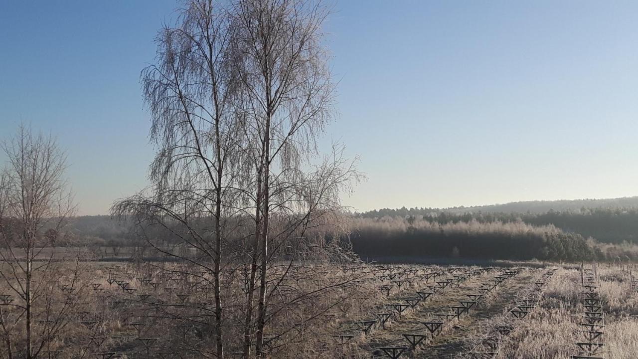 Winnica Debogora Dobiegniew Exteriér fotografie